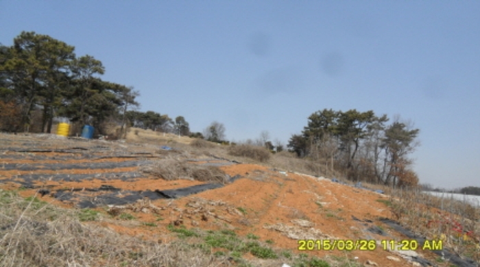 수원지법 2015타경11181-1 사진