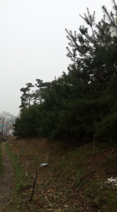 수원지법 2015타경13019-1 사진