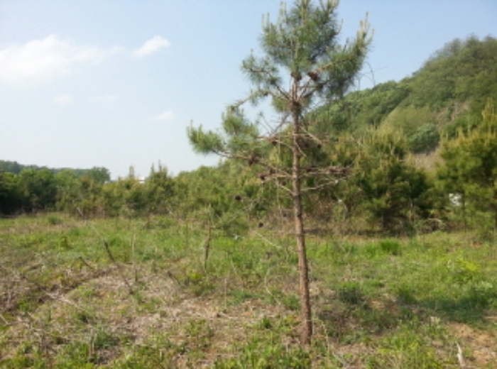 수원지법 2015타경13729-1 사진