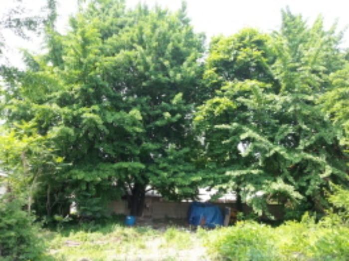 수원지법 2015타경15695-1 사진