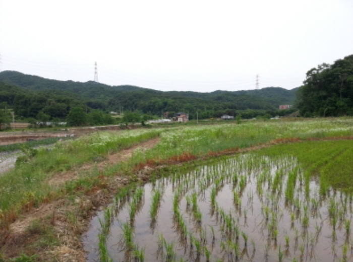 수원지법 2015타경17127-1 사진