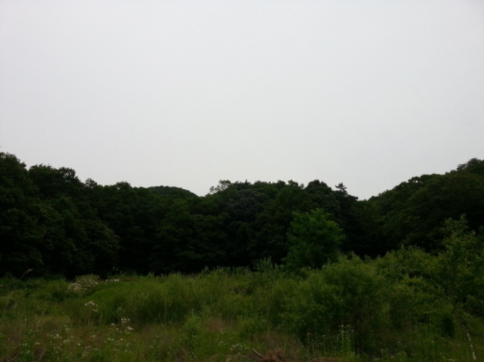 수원지법 2015타경19048-2 사진
