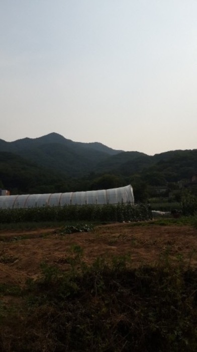 수원지법 2015타경19505-2 사진