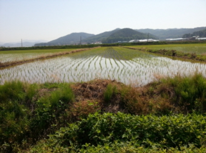 수원지법 2015타경19635-2 사진