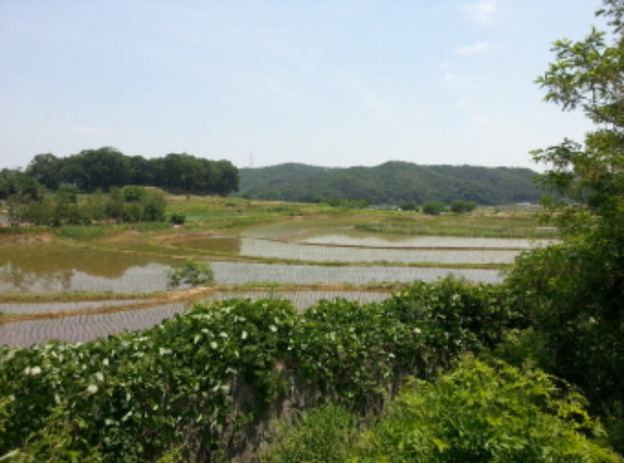 수원지법 2015타경20406-1 사진