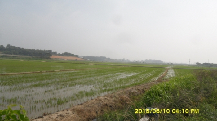 수원지법 2015타경21072-2 사진