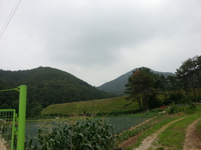수원지법 2015타경23849-1 사진