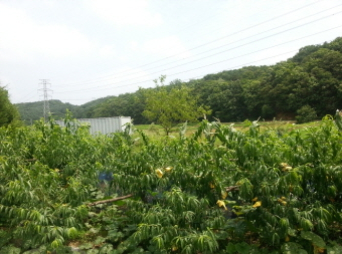 수원지법 2015타경27285-1 사진