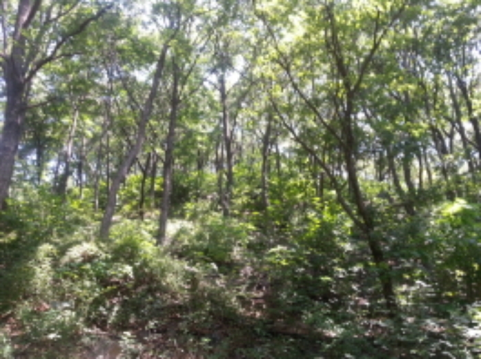 수원지법 2015타경27575-1 사진