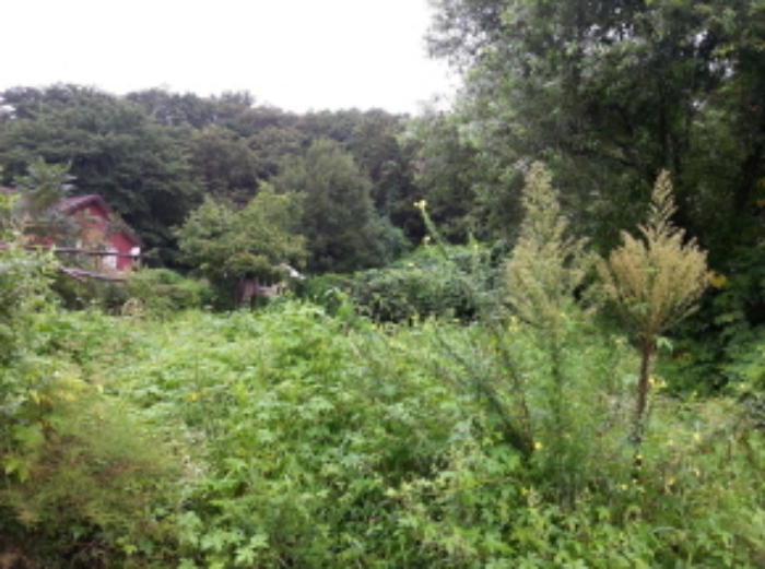 수원지법 2015타경27650-1 사진