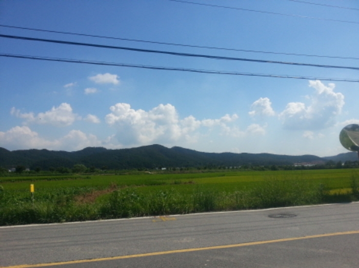 수원지법 2015타경29229-1 사진