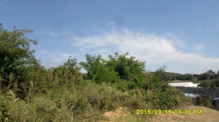 수원지법 2015타경31130-1 사진
