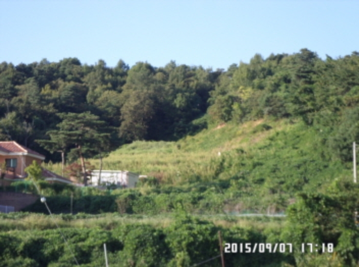 수원지법 2015타경31437-1 사진