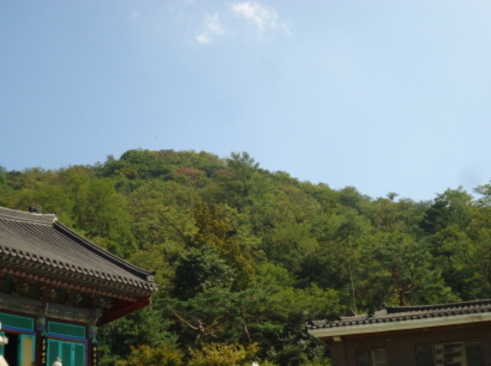 수원지법 2015타경32065-1 사진