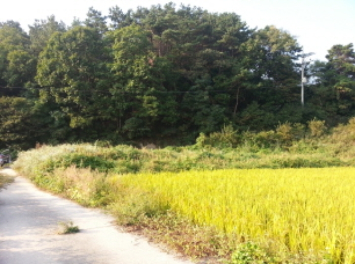 수원지법 2015타경32485-1 사진