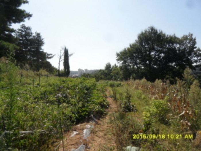 수원지법 2015타경33006-1 사진