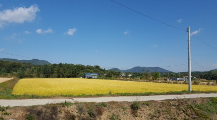 수원지법 2015타경33075-1 사진