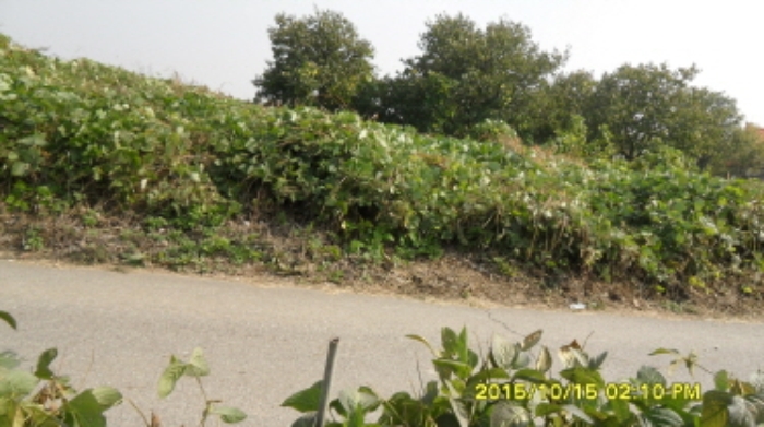 수원지법 2015타경34122-1 사진