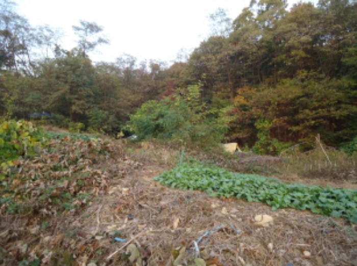 수원지법 2015타경37329-1 사진