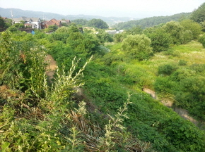 수원지법 2015타경501080-1 사진