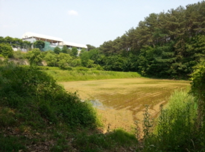 수원지법 2015타경501721-1 사진