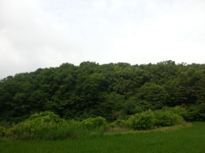 수원지법 2015타경503406-1 사진