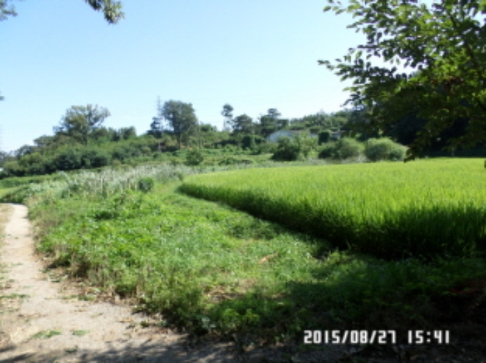 수원지법 2015타경503512-2 사진