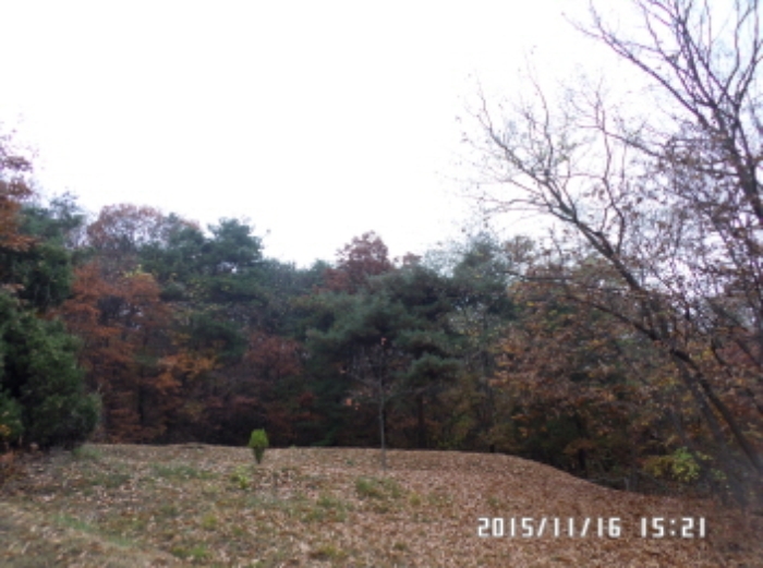 수원지법 2015타경507460-1 사진