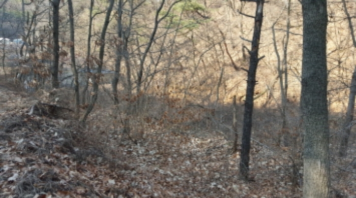 수원지법 2016타경2436-2 사진