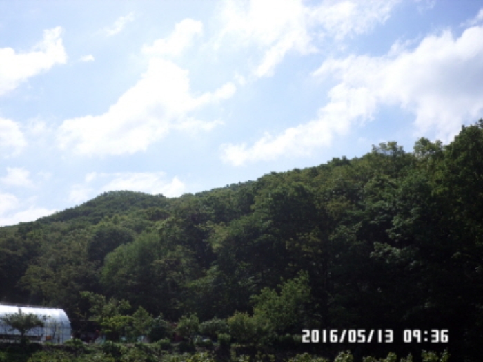 수원지법 2016타경12624-1 사진