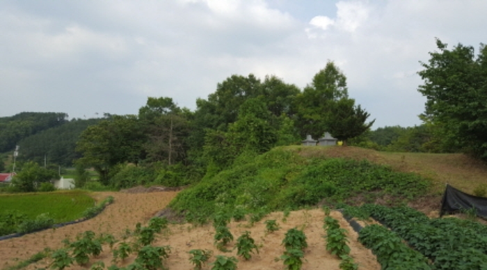 수원지법 2016타경15708-1 사진