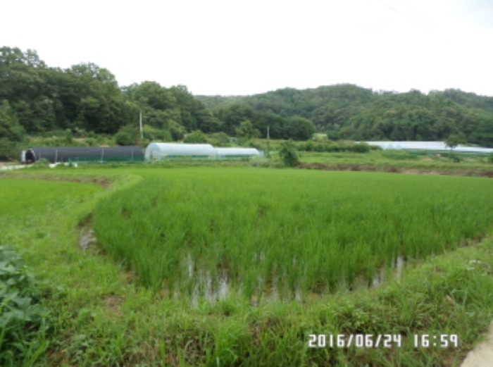 수원지법 2016타경16510-2 사진