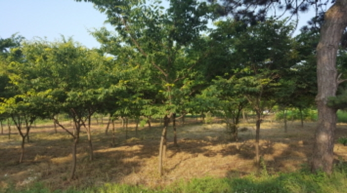수원지법 2016타경16671-1 사진