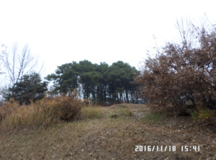 수원지법 2016타경31311-2 사진