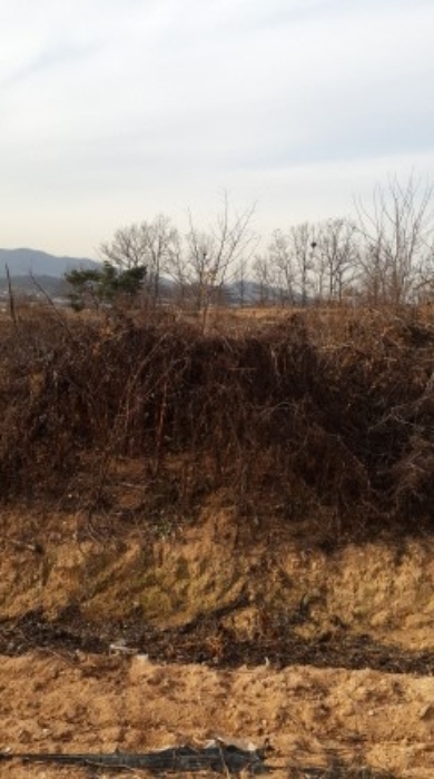 수원지법 2016타경31496-1 사진