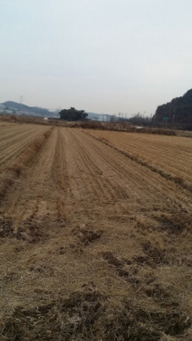 수원지법 2016타경35641-1 사진