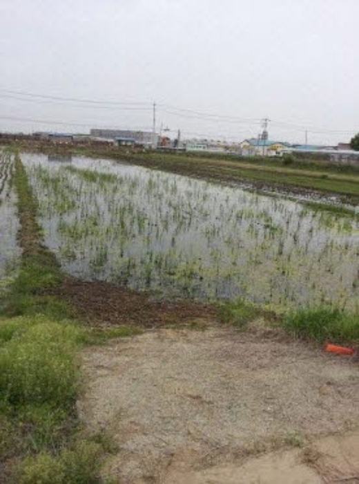 수원지법 2016타경503724-1 사진