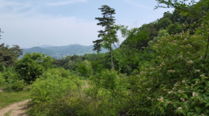 수원지법 2016타경504468-1 사진