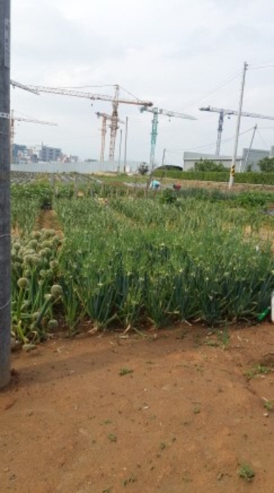 수원지법 2016타경504987-2 사진