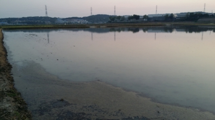수원지법 2017타경9922-1 사진