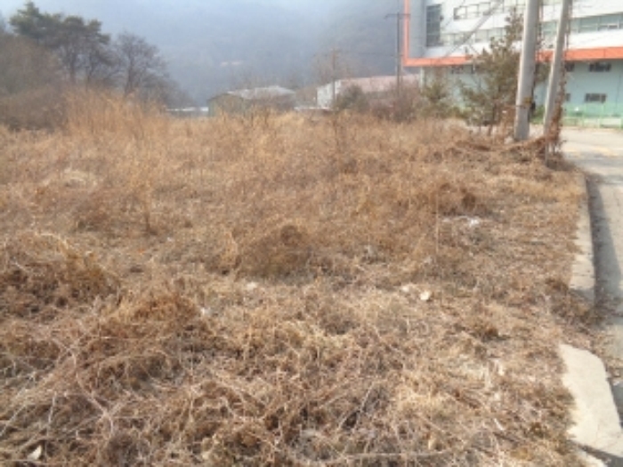 수원지법 2018타경1765-1 사진