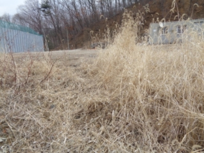 수원지법 2018타경3303-1 사진
