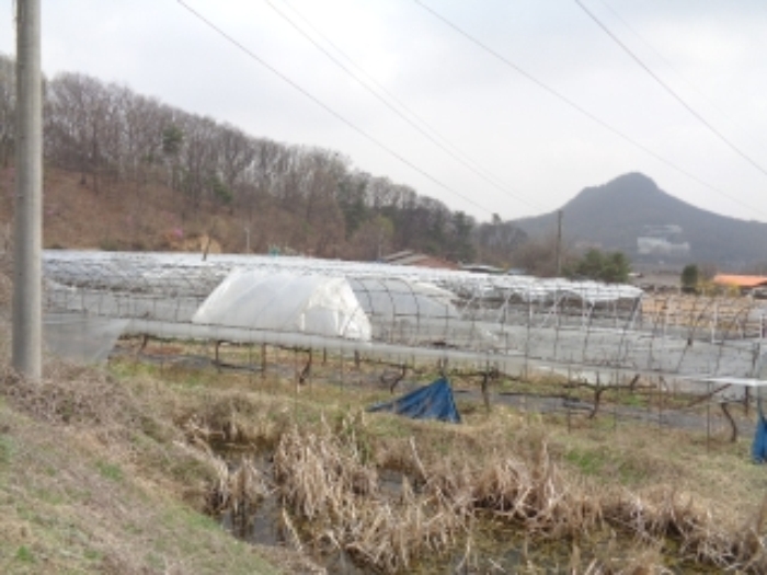 수원지법 2018타경6128-1 사진