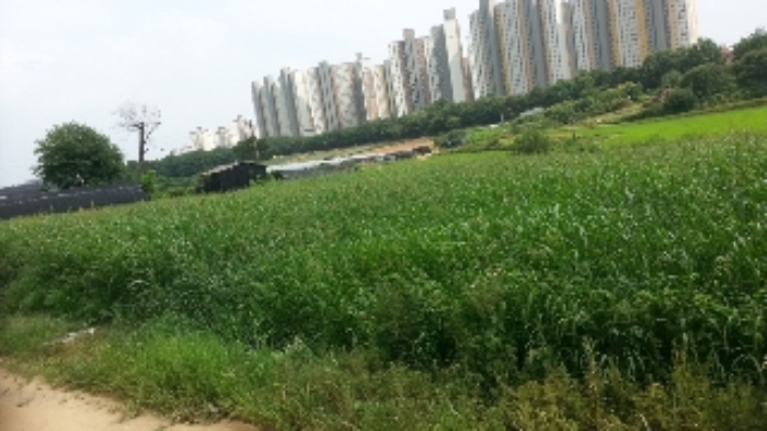 수원지법 2018타경14709-2 사진
