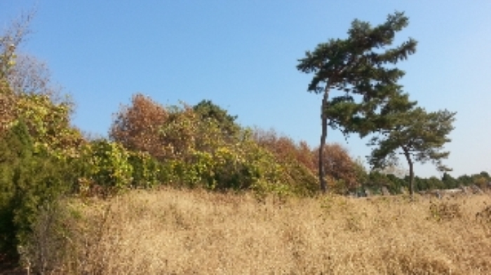 수원지법 2018타경22854-1 사진