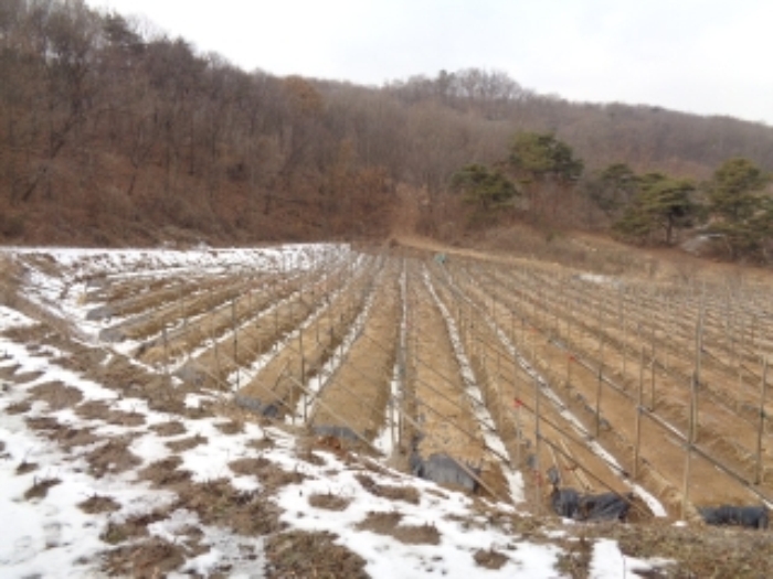 수원지법 2018타경500156-1 사진