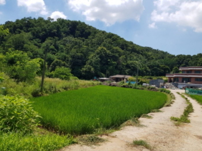 수원지법 2019타경7302-2 사진