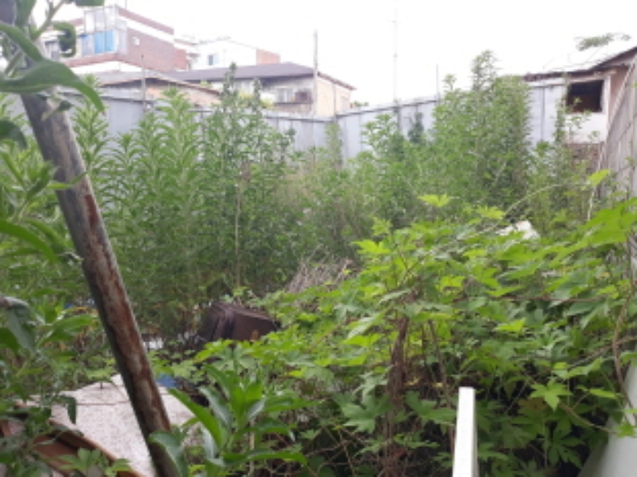 수원지법 2019타경12090-1 사진