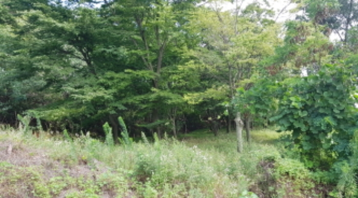수원지법 2019타경16054-3 사진