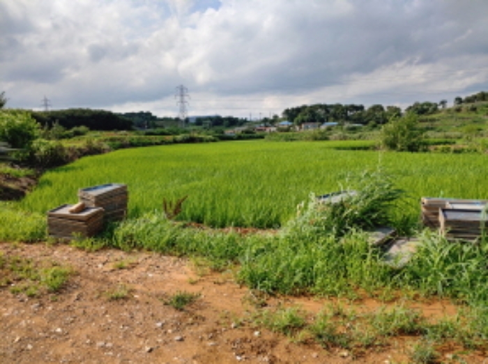 수원지법 2019타경16092-1 사진
